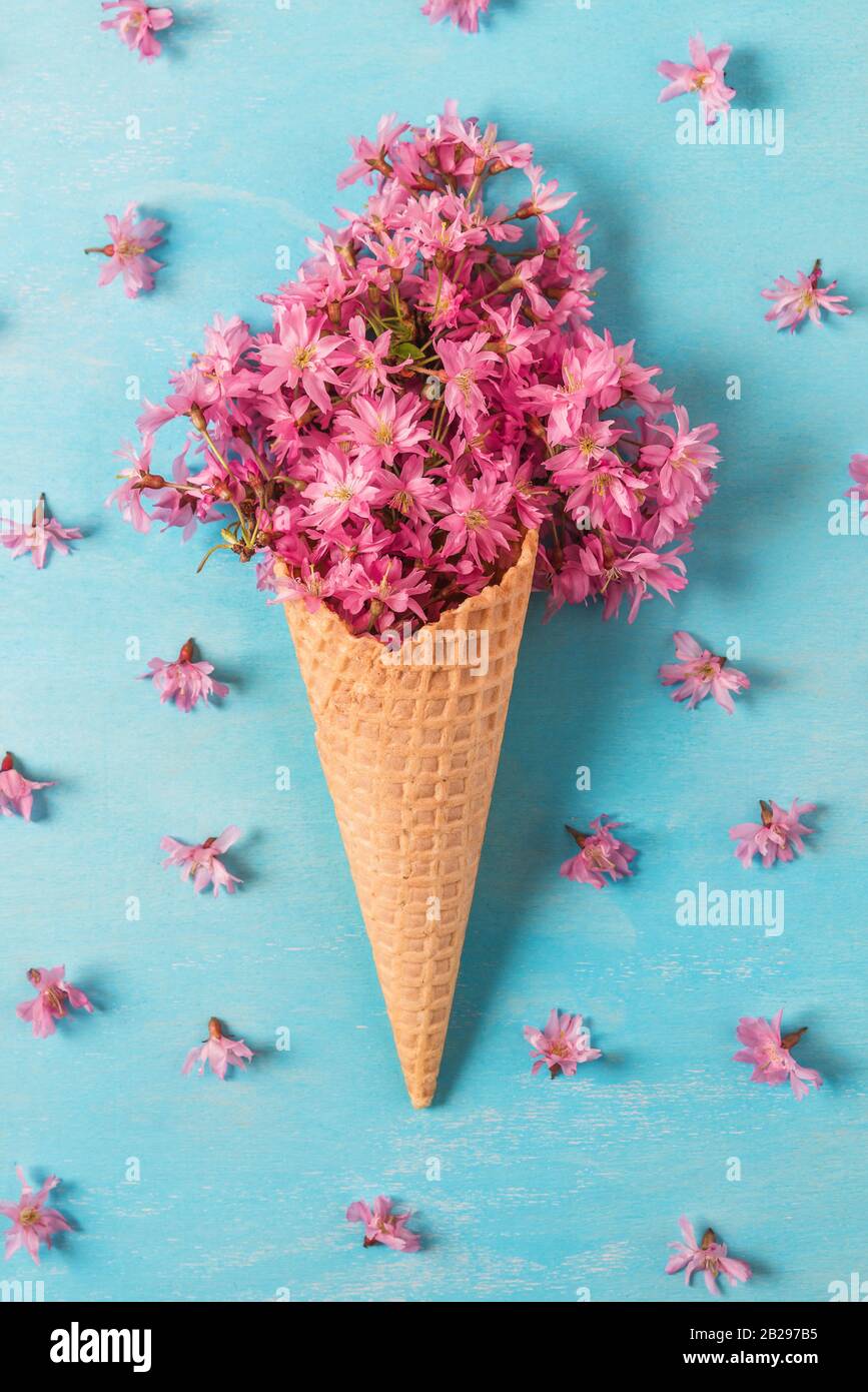 Ice cream cone with spring blossom pink cherry or sakura flowers on blue background. Minimal spring concept. Flat lay. top view. vertical orientation Stock Photo