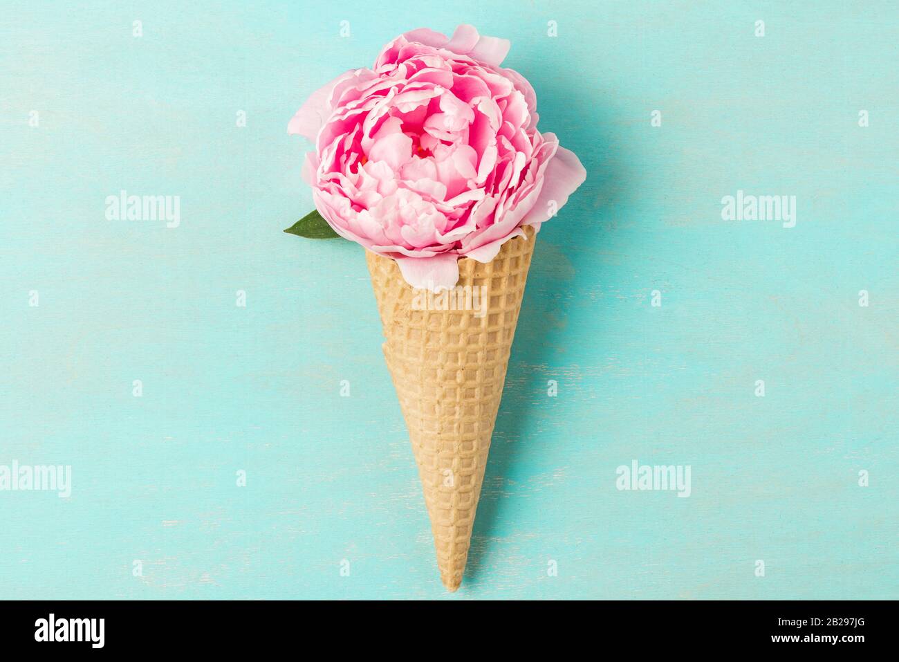 Ice cream waffle cone with pink peony flower on blue background. Minimal spring concept. Flat lay. top view Stock Photo
