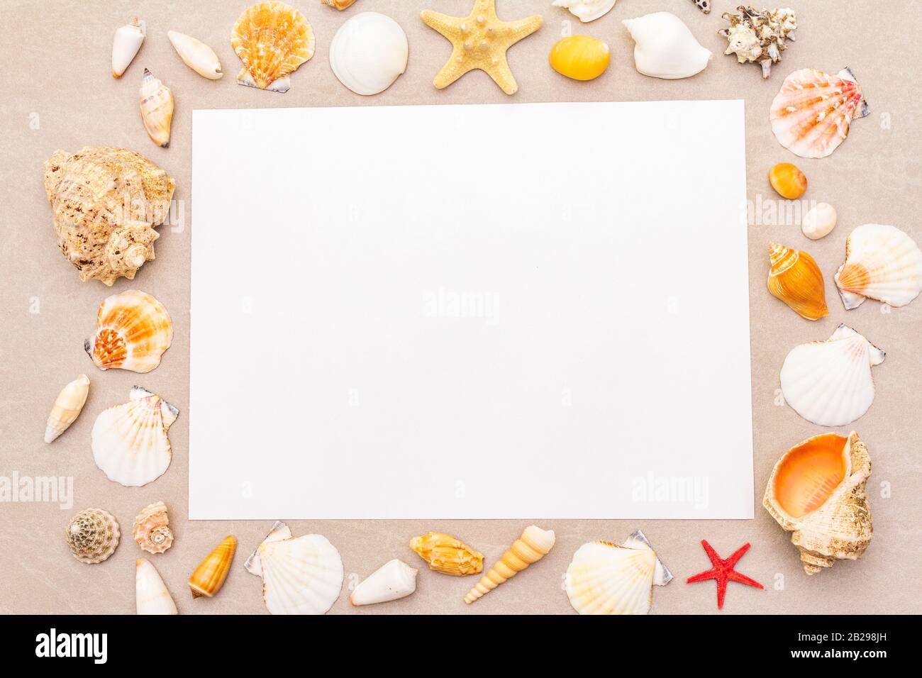 Seashells summer background. Lots of different seashells piled together ...