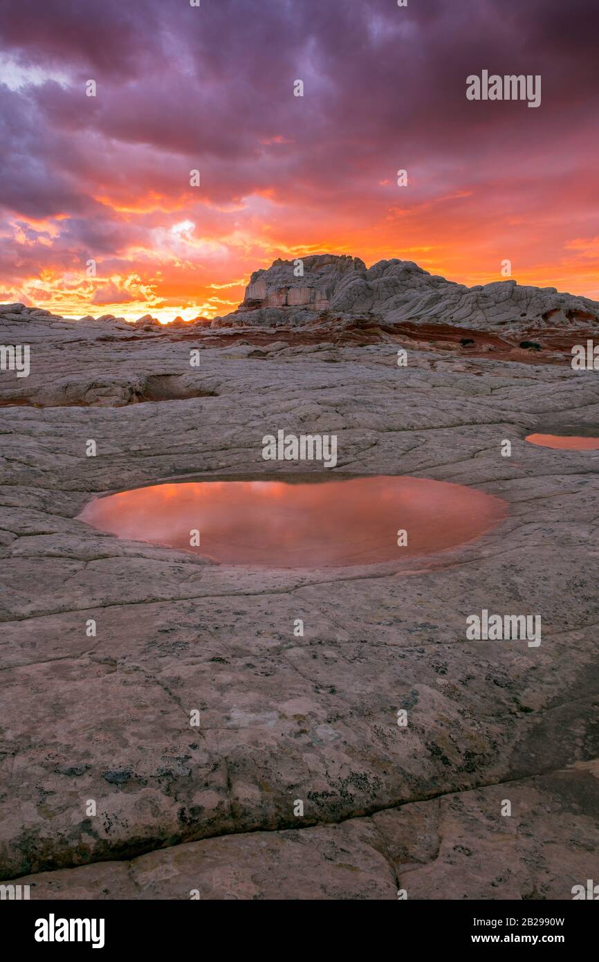 Sunset, Reflections, Sandstone Formations, White Pocket, Vermillion Cliffs National Monument, Paria Plateau, Arizona Stock Photo
