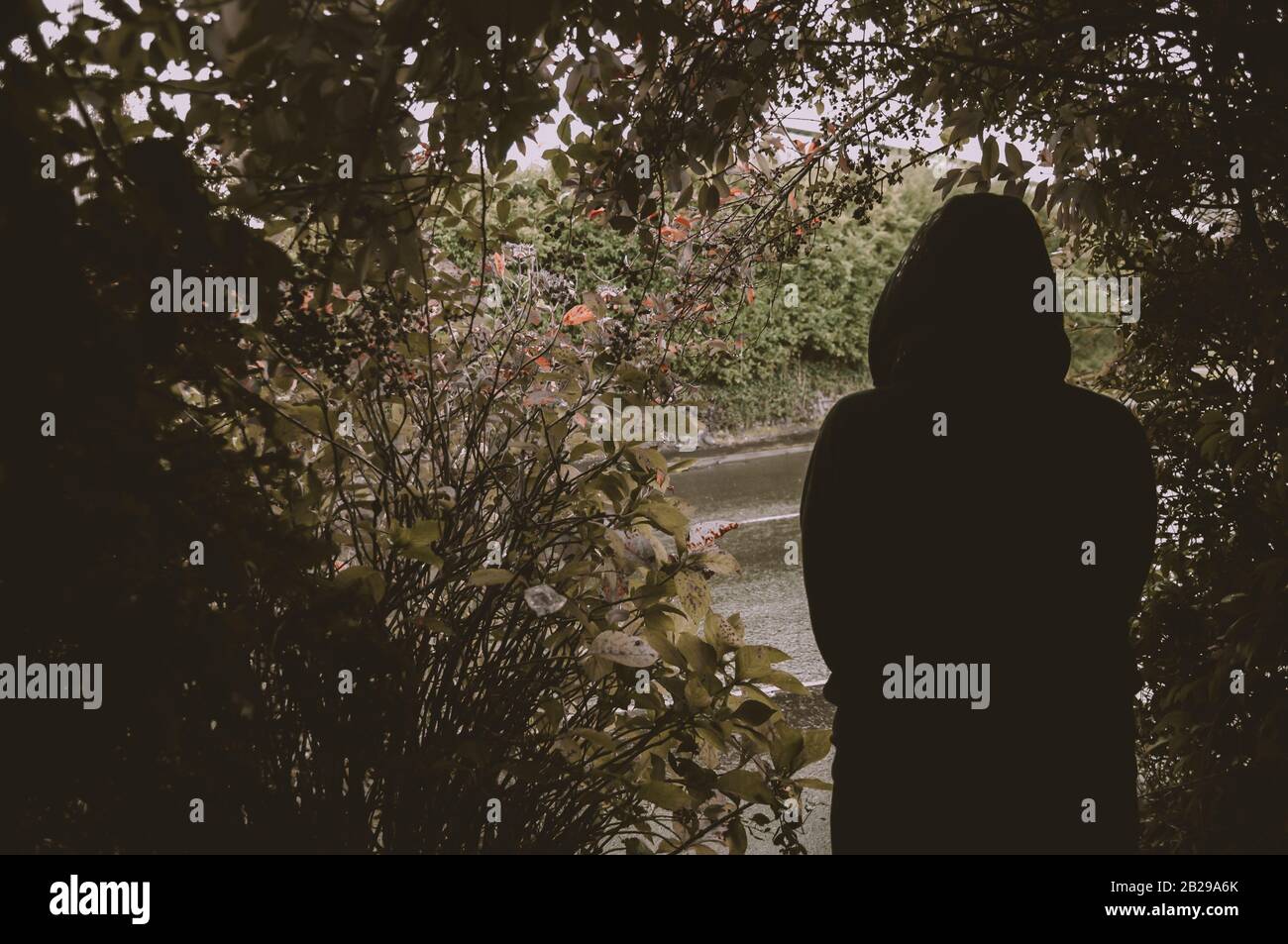 Desaturated atmospheric image of a silhouette of a lone person, wearing  a hoody, standing in an opening in trees. Stock Photo