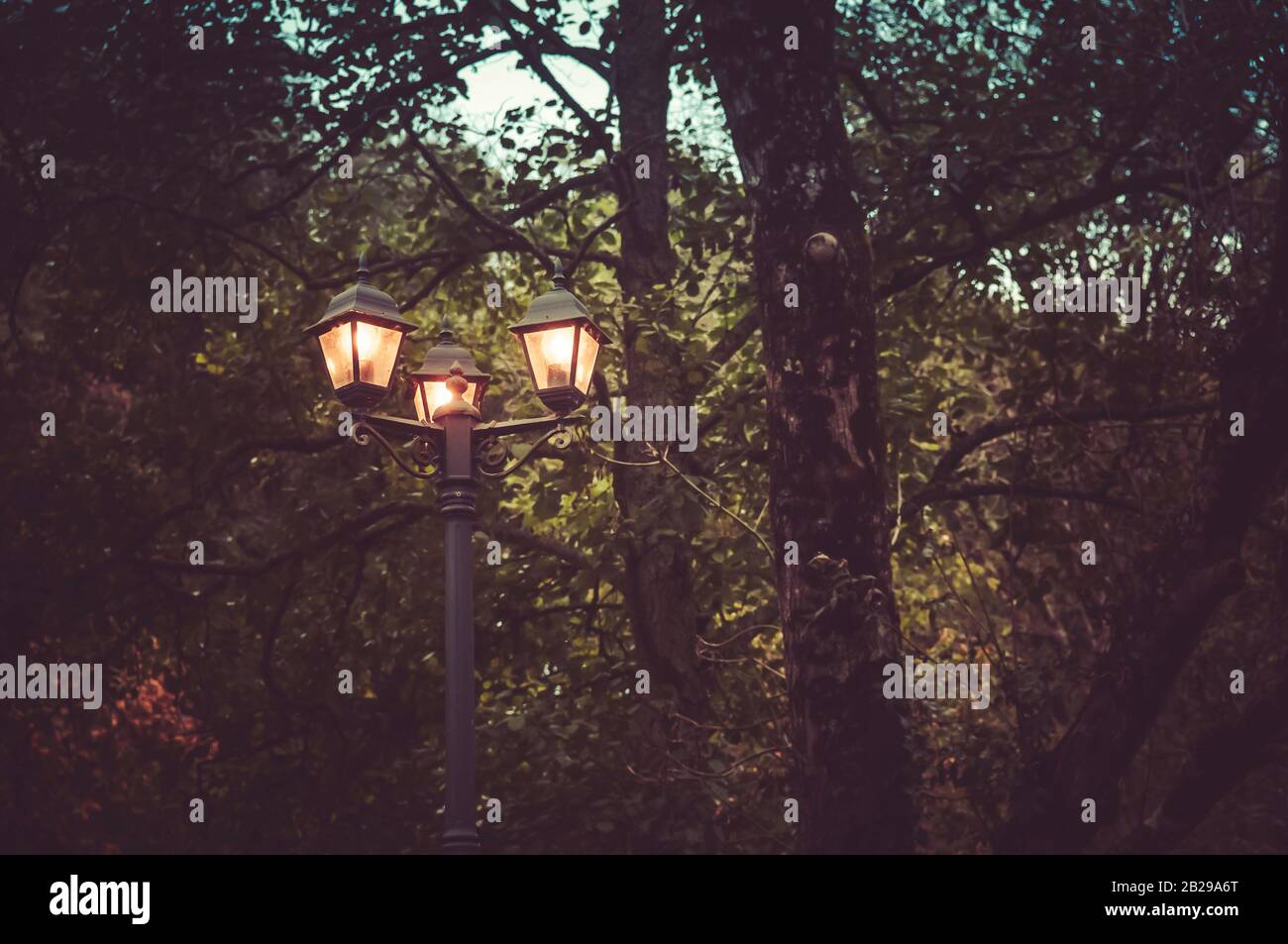Victorian street lamp, lit, surrounded by trees Stock Photo