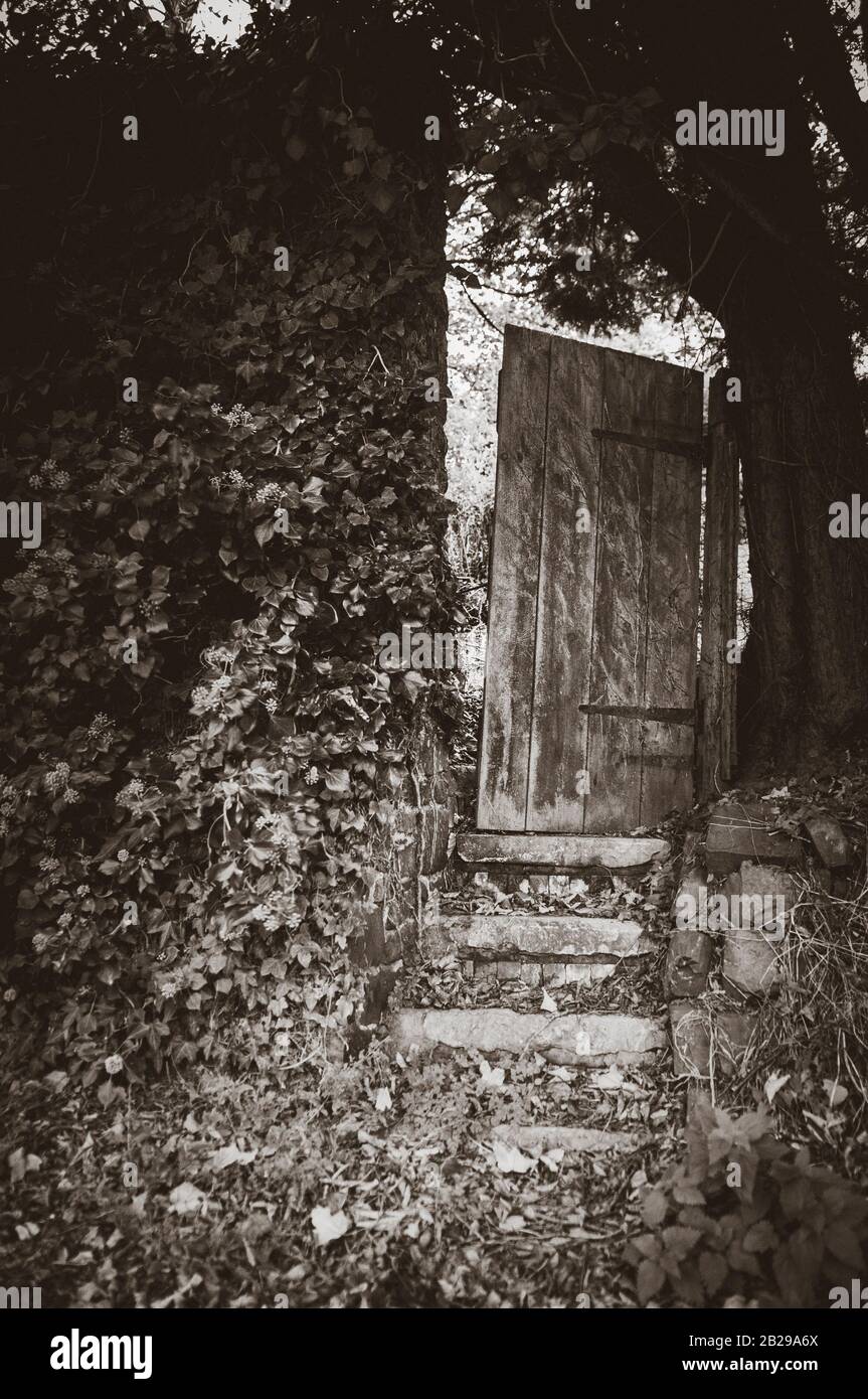 Set of stone steps leading up to an old, crooked, wooden, door. Door is