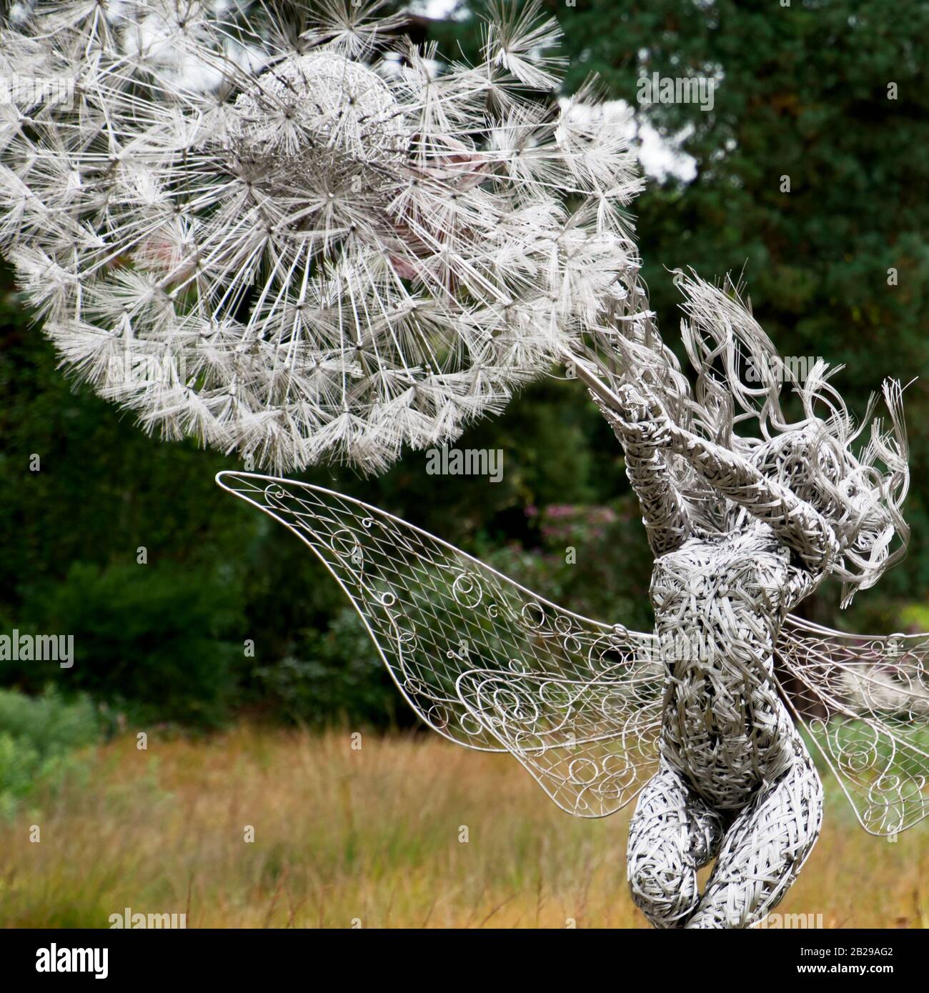 Fairy sculpture - Trentham Gardens, Staffordshire, UK - artist Robin Wright  Stock Photo - Alamy
