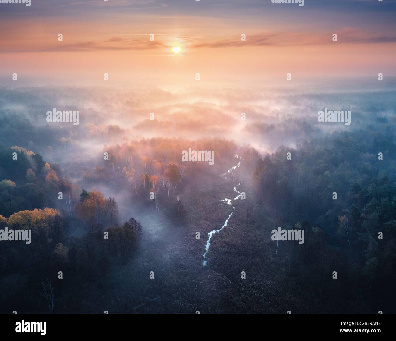 Foggy forest hi-res stock photography and images - Alamy