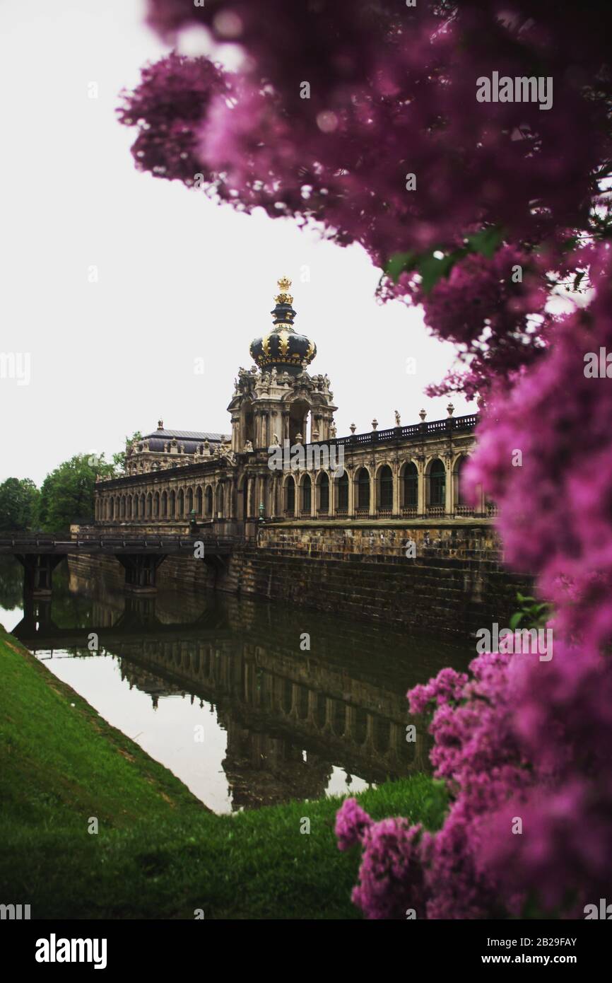 Zwinger palace in Dresden, Germany framed by blooming flowers Stock Photo