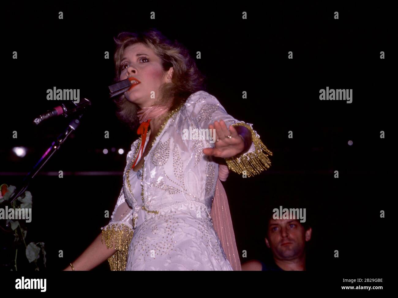 DETROIT, MI SEPTEMBER 19 American singer Stevie Nicks of the group