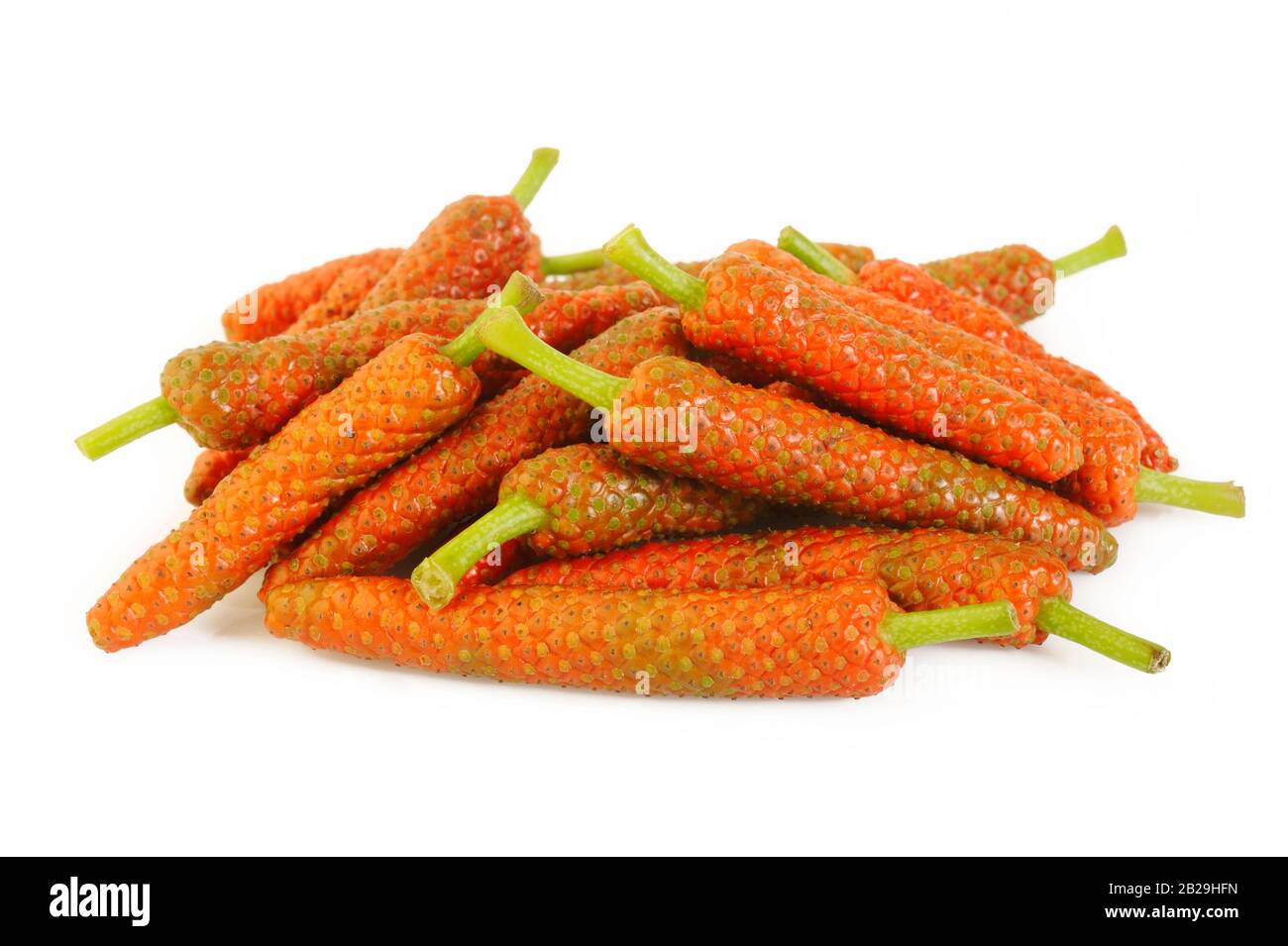 Long pepper isolated on white background Stock Photo