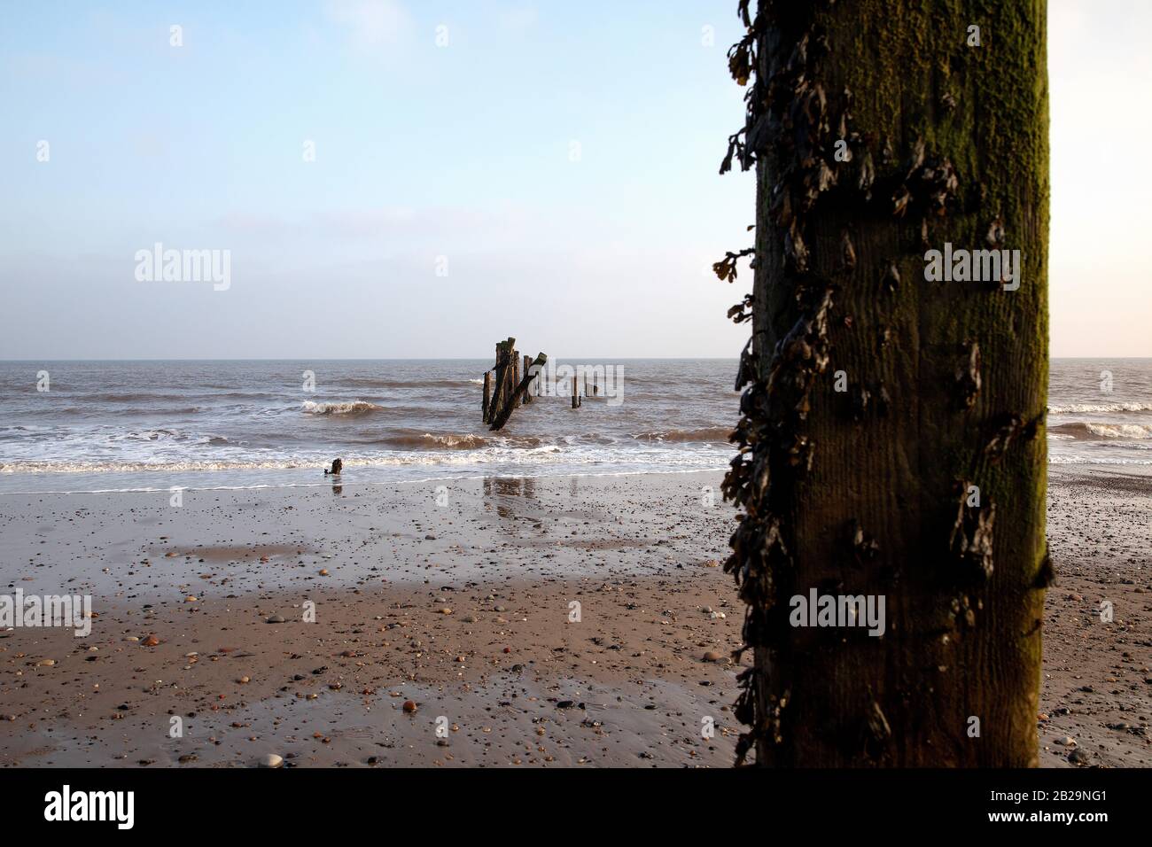 Spurn Head North Yorkshire Stock Photo