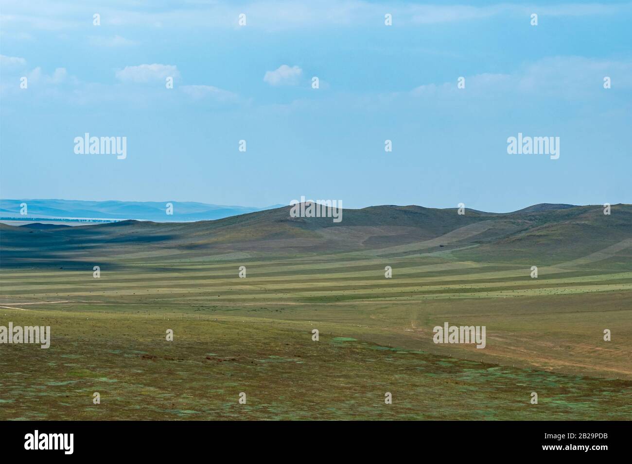 Steppe with green rolling hills, Taipusi Banner, Inner Mongolia, China Stock Photo