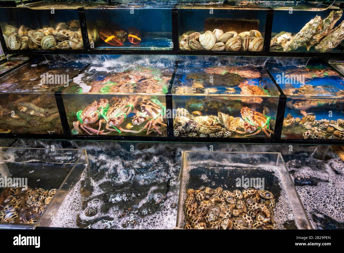 Seafood market, Hsinchu Fish Harbor, Hsinchu City, Taiwan Stock Photo