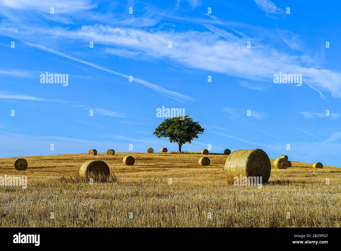 Hay bales in field under blue sky, France Stock Photo