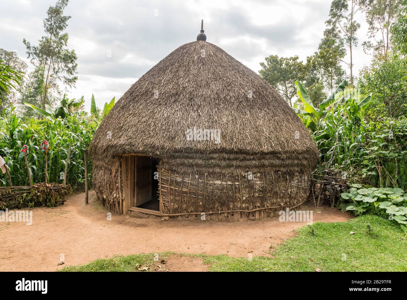 Qanday qilib uyda toplarni jinsiy olatni ichiga aylantirish mumkin Yaltiroq tayt kiygan qizlar video