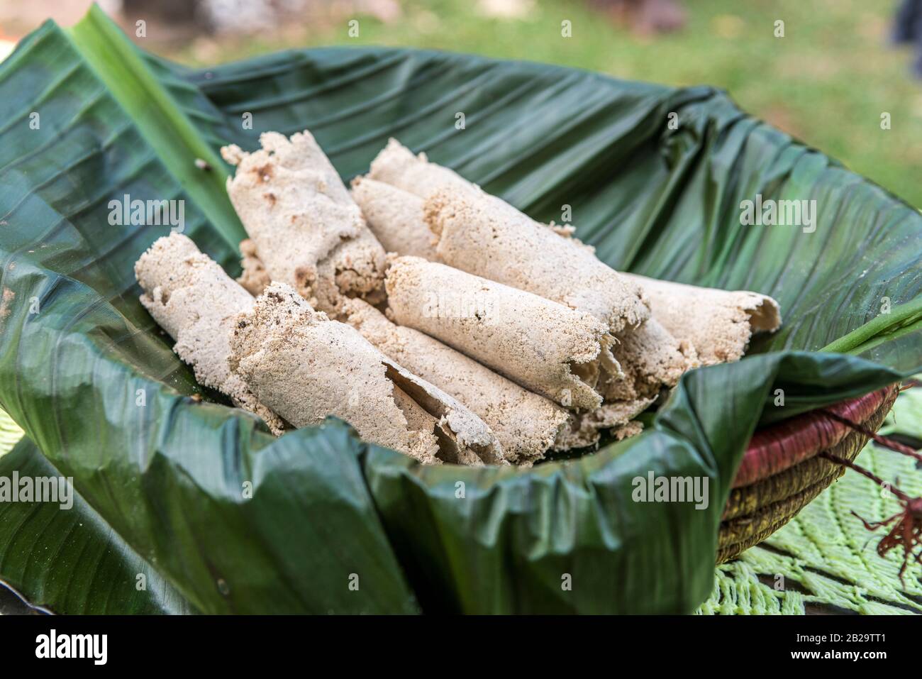 False banana bread kocho from the enset plant in a village in southern Ethiopia Stock Photo