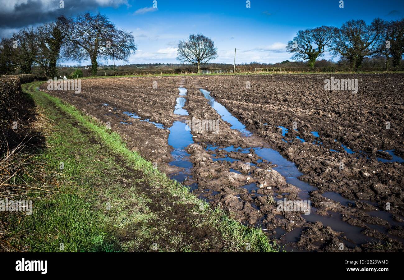 Deep tyre tracks made by a tractor  in a field filled with rain water. Stock Photo
