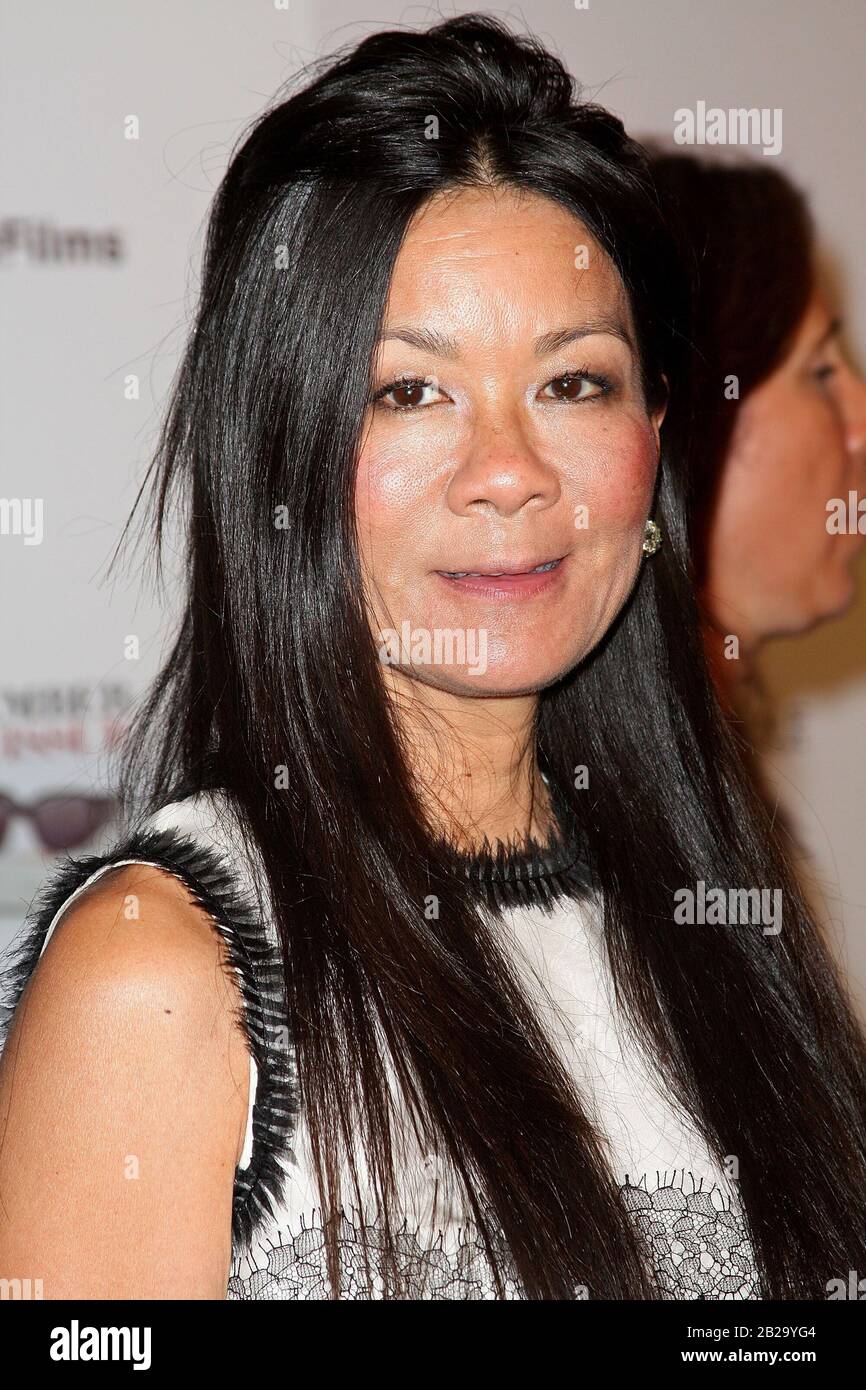 New York, NY, USA. 19 August, 2009. Helen Lee Schifter at the screening of "The September Issue" at The Museum of Modern Art. Credit: Steve Mack/Alamy Stock Photo
