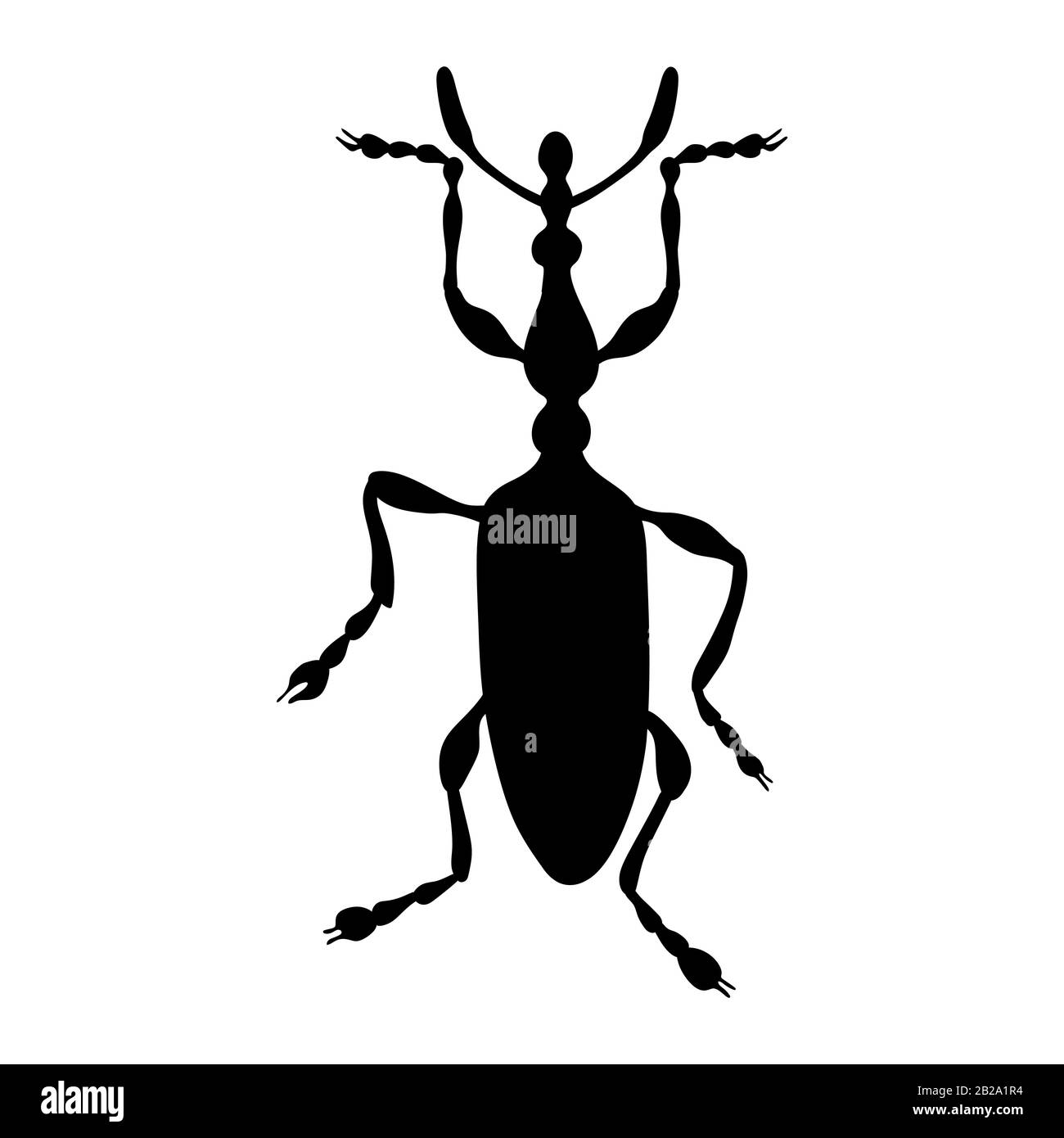 Coleoptera concept Stock Vector Images - Alamy