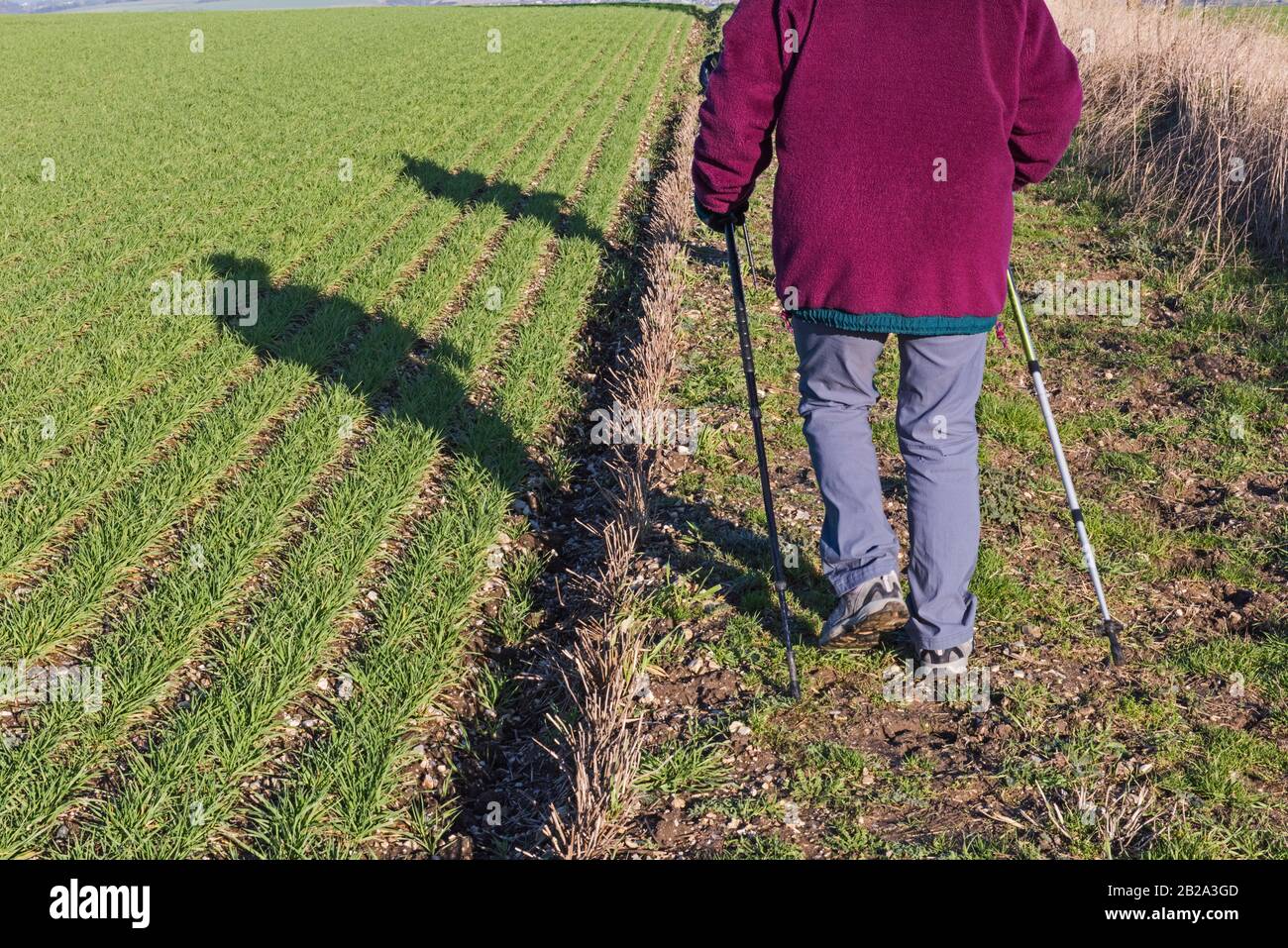 Two people walking rambling on remote country footpath in rural countryside landscape with shadow Stock Photo