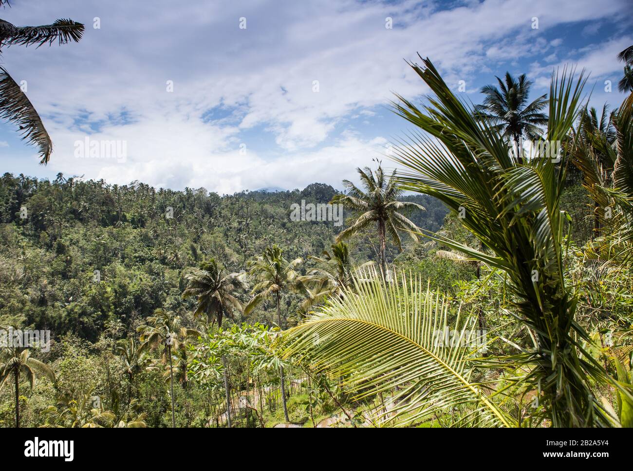 Breathtaking Indonesian traditional tropical islands nature landscape Stock Photo - Alamy