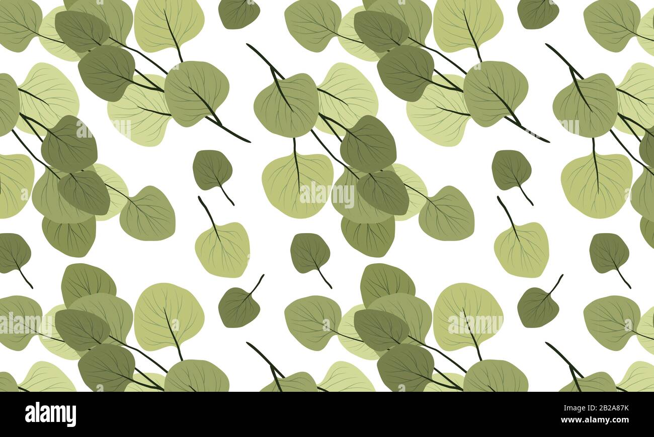 Seamless horizontal pattern with branches of eucalyptus on a white background. Vector illustration Stock Vector