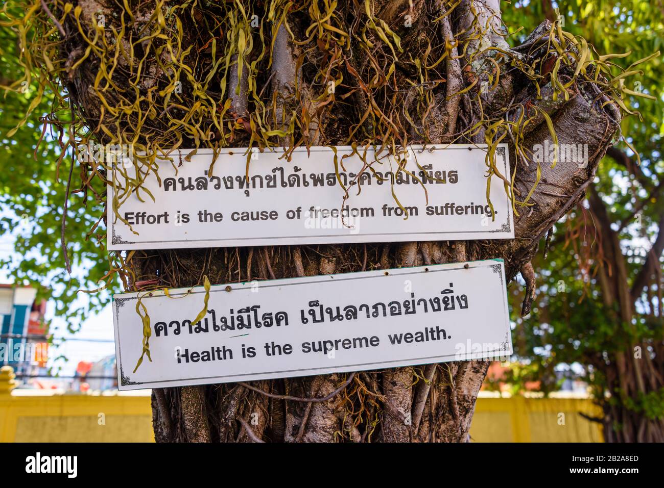 Motivational signs in Thai and English saying 'Effort is the cause of freedom from suffering' and 'Health is the spreme wealth', Thailand Stock Photo