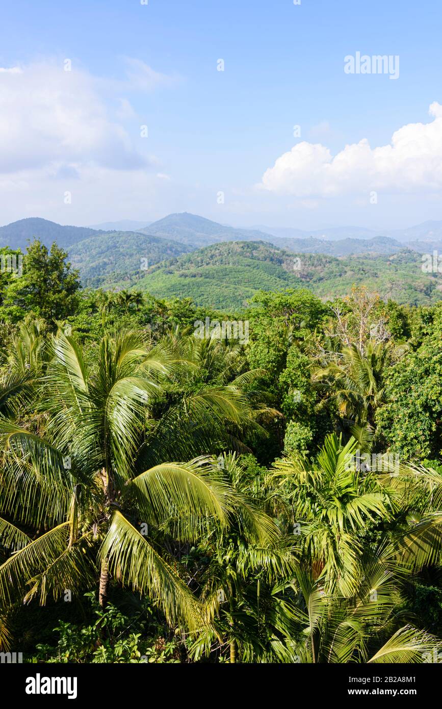 Tree covered jungle hills, Thailand Stock Photo