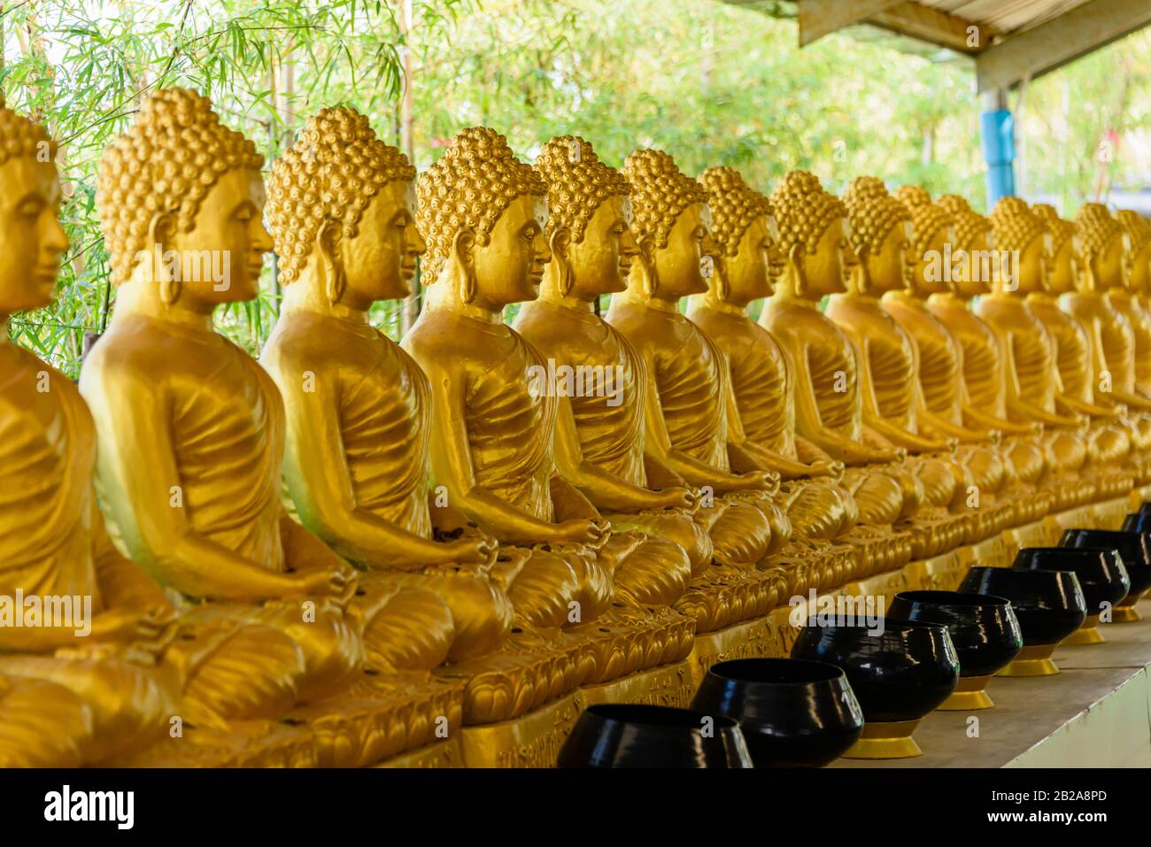 Row of of golden Buddhas Buddha statues, at the Big Buddha, Thailand Stock Photo