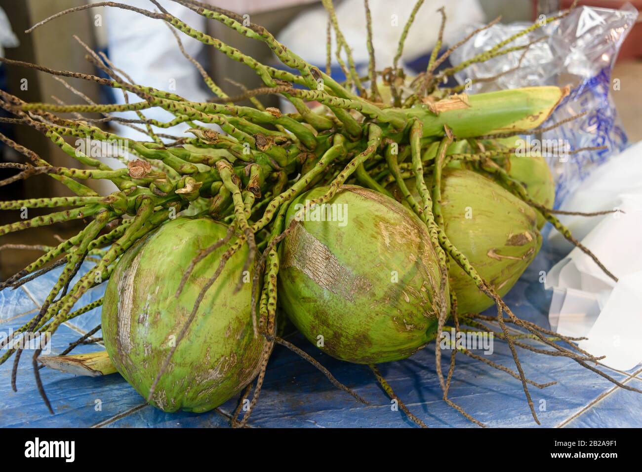Green coconuts still on the stalk for sale at a Thai food market stall
