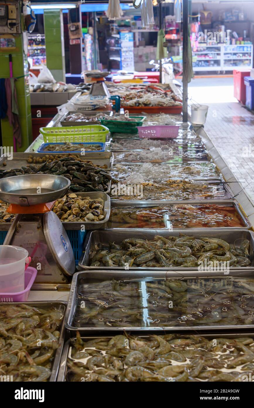 Seafood including prawns, shrimp, clams, sea snails, squid, octopus and green lipped mussels for sale at a Thai fishmonger food market stall, Thailand Stock Photo