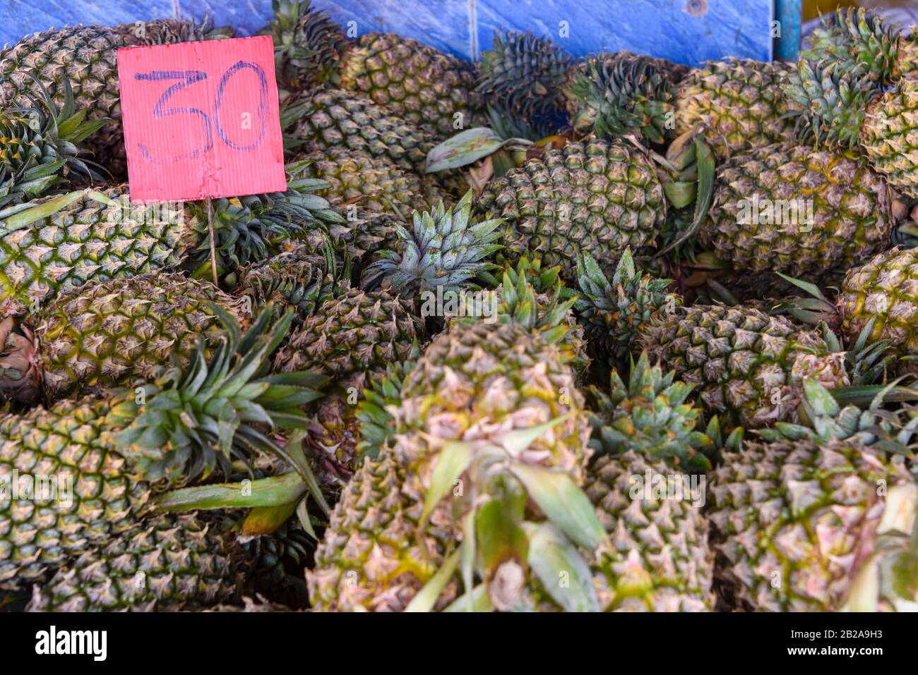 Pineapples for sale with a price sign at a Thai fruit stall at a food market, Thailand Stock Photo