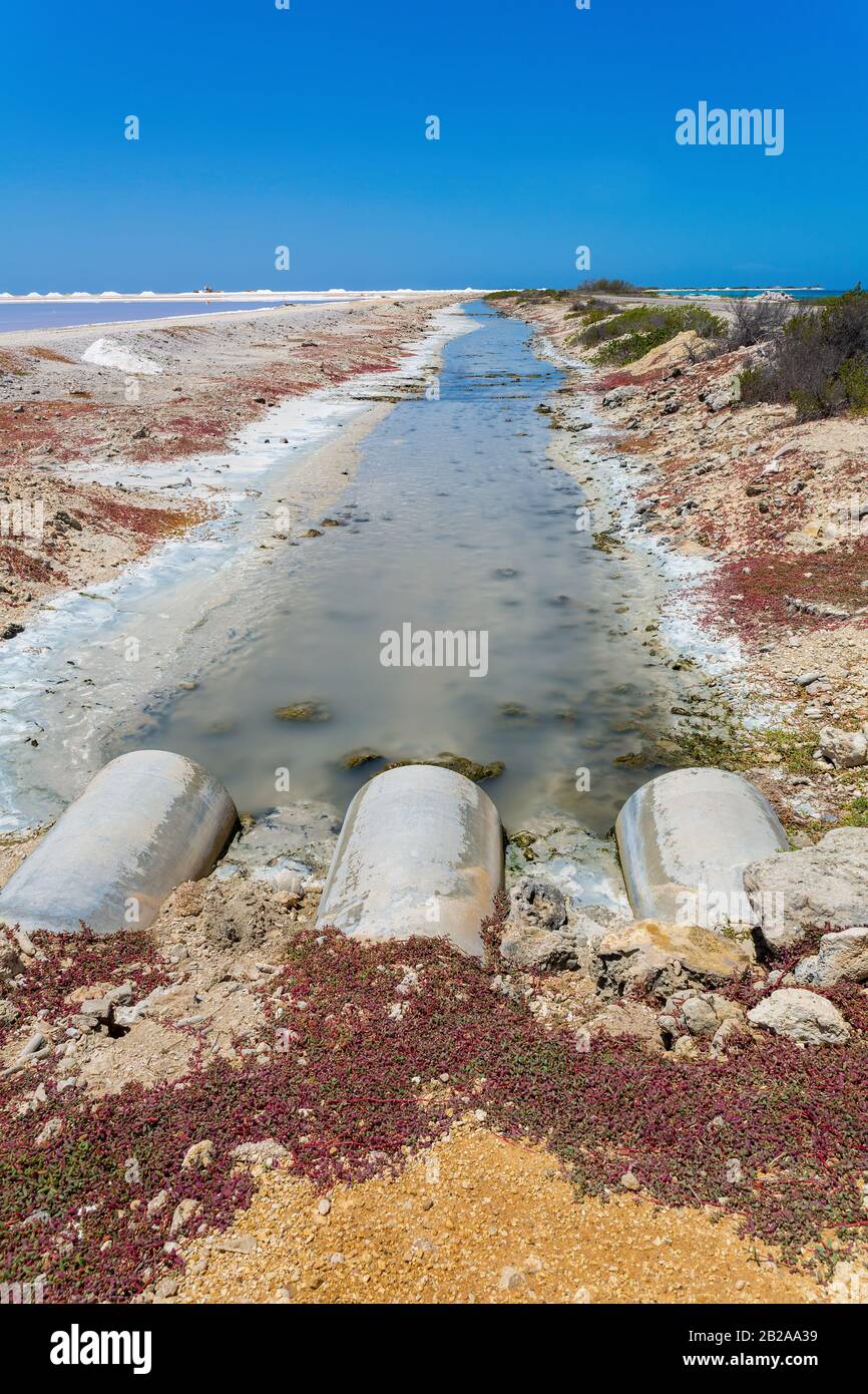 Drain pipes discharge waste water into a brook at the salt industry Stock Photo