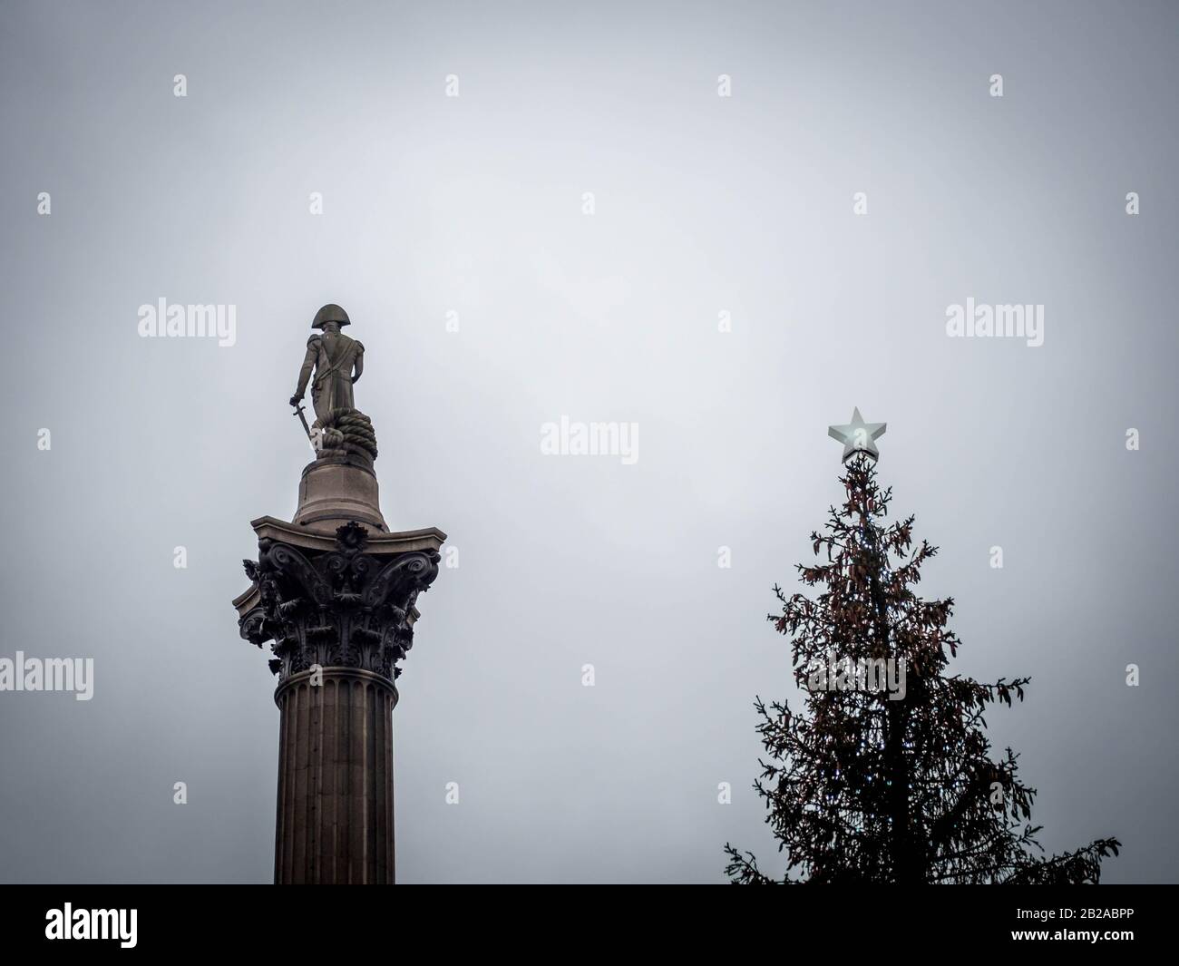 Nelson's Column next to a Christmas tree, London, England, UK Stock Photo
