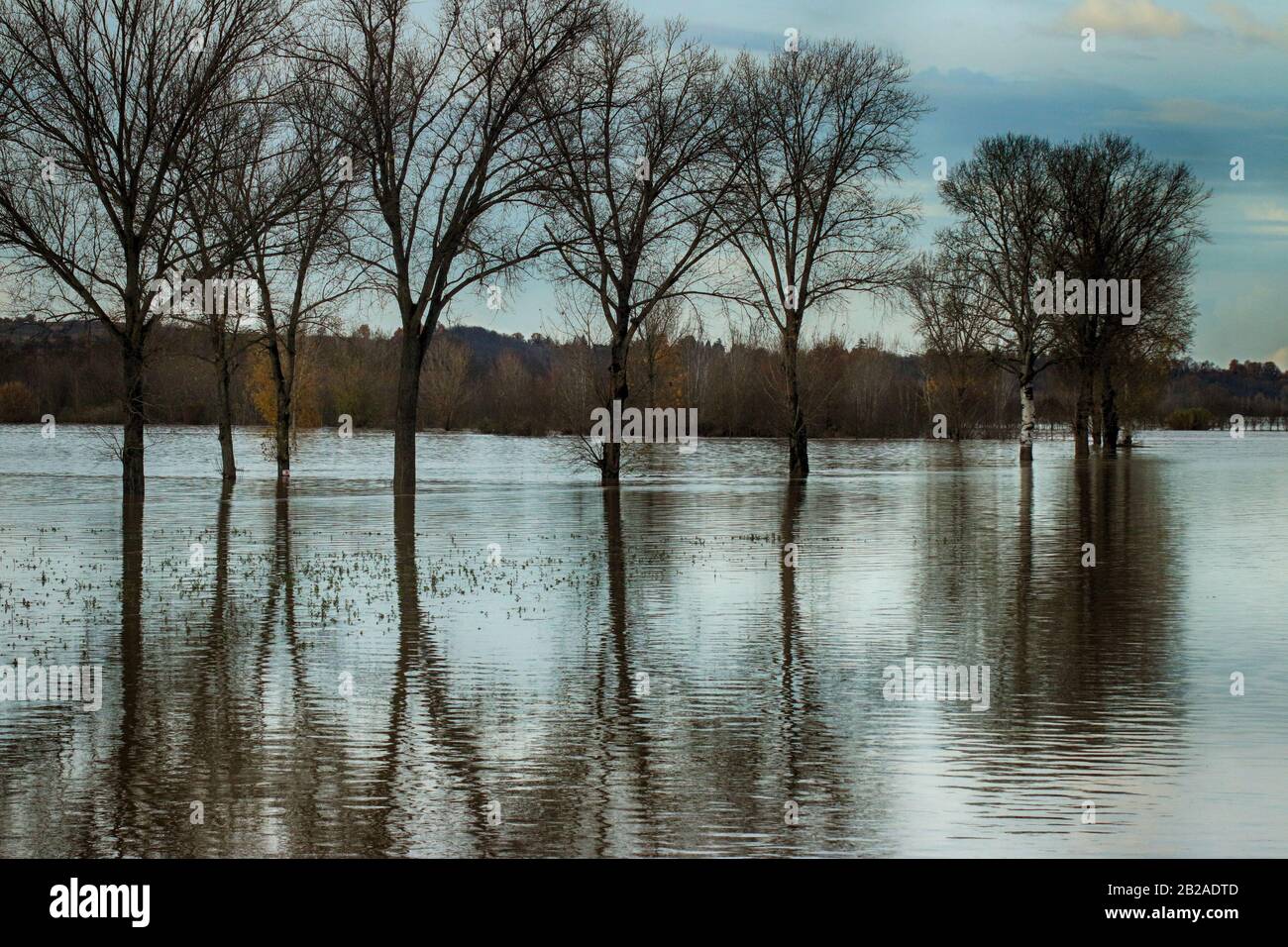 Flooded river, Lobbi, Alessandria, Piedmont, Italy Stock Photo