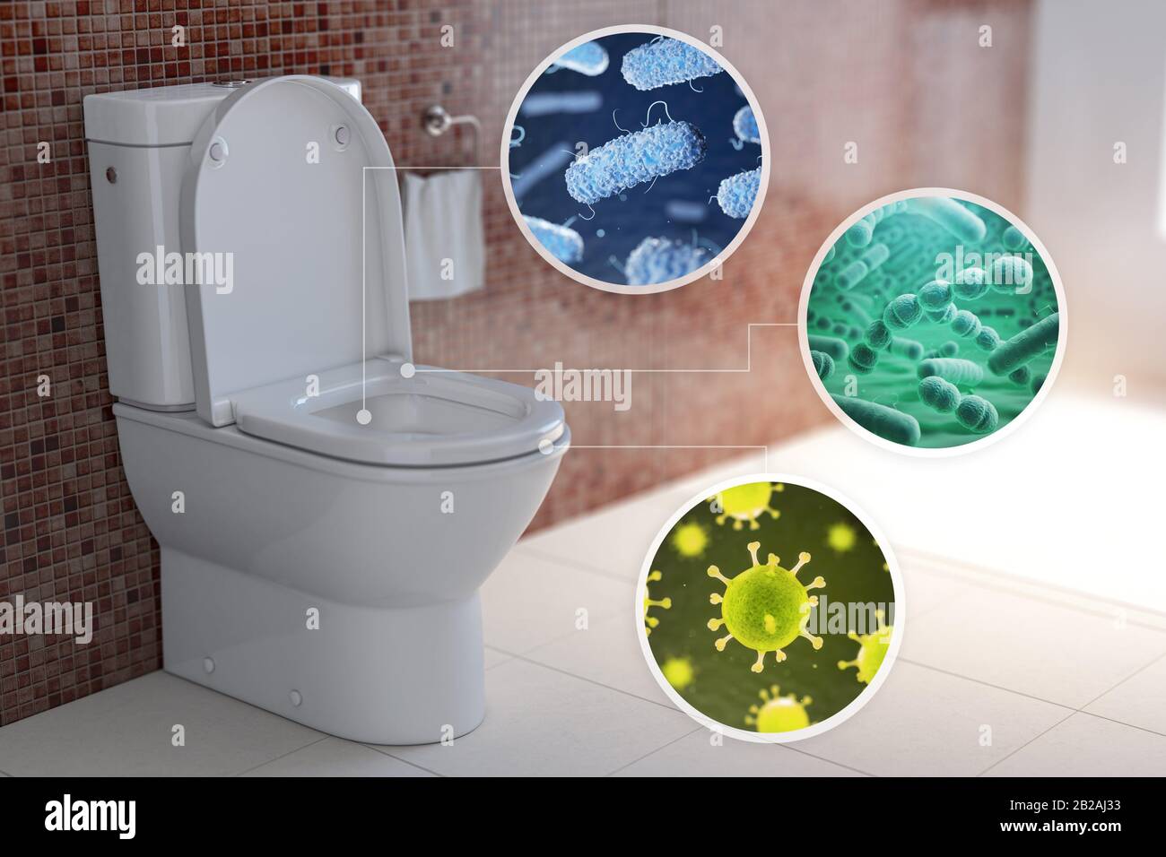 Types of bacteria hires stock photography and images Alamy