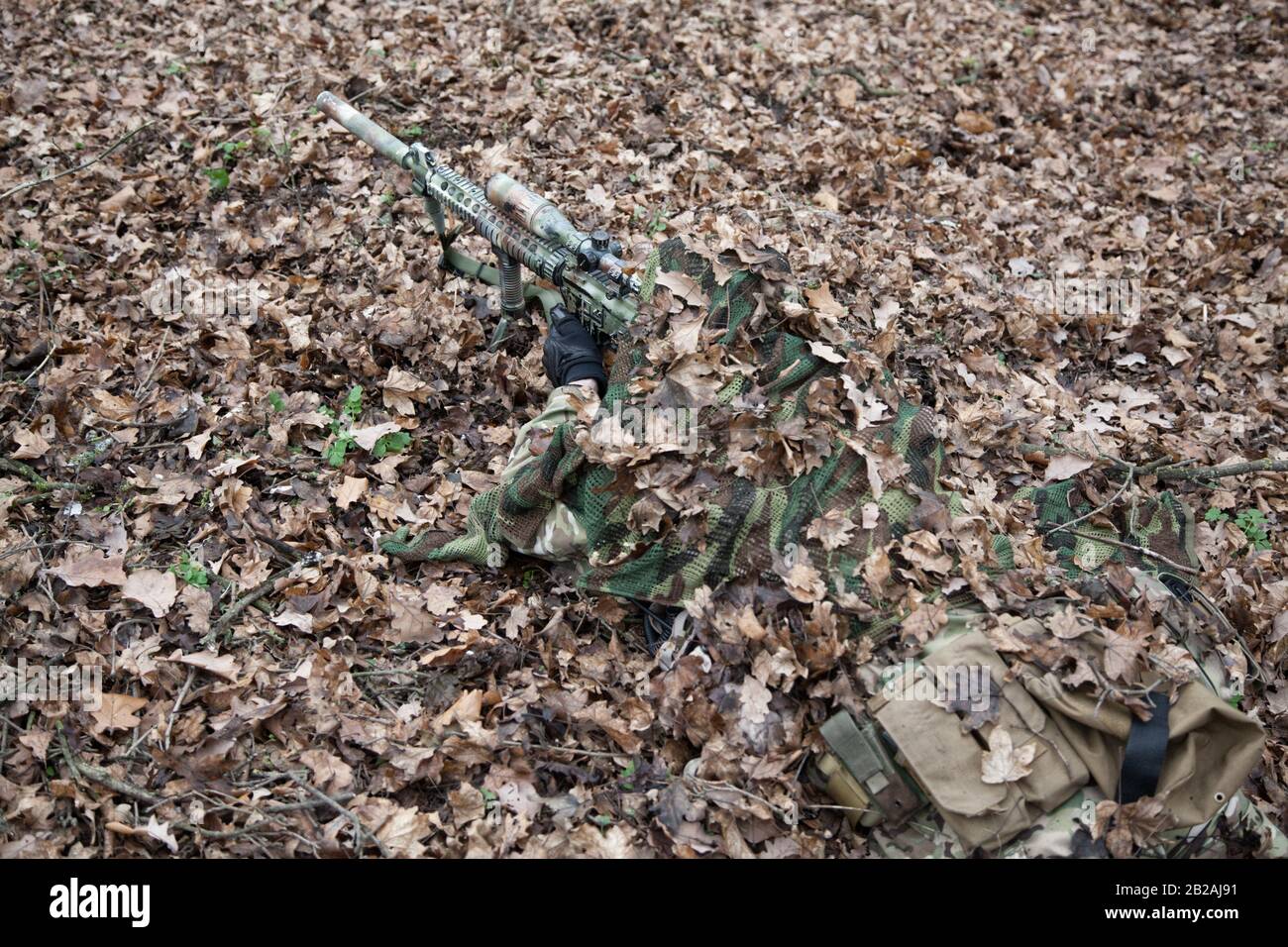 Army elite forces sniper, tactical group marksman, airsoft player lying on ground in forest, hiding in autumn foliage, covering himself with Stock Photo