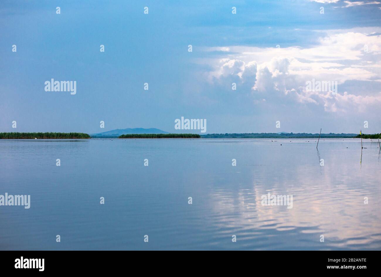 Wild birds paradise - River Danube in Romania - Delta, nature pure in a water world as seen from a boat Stock Photo