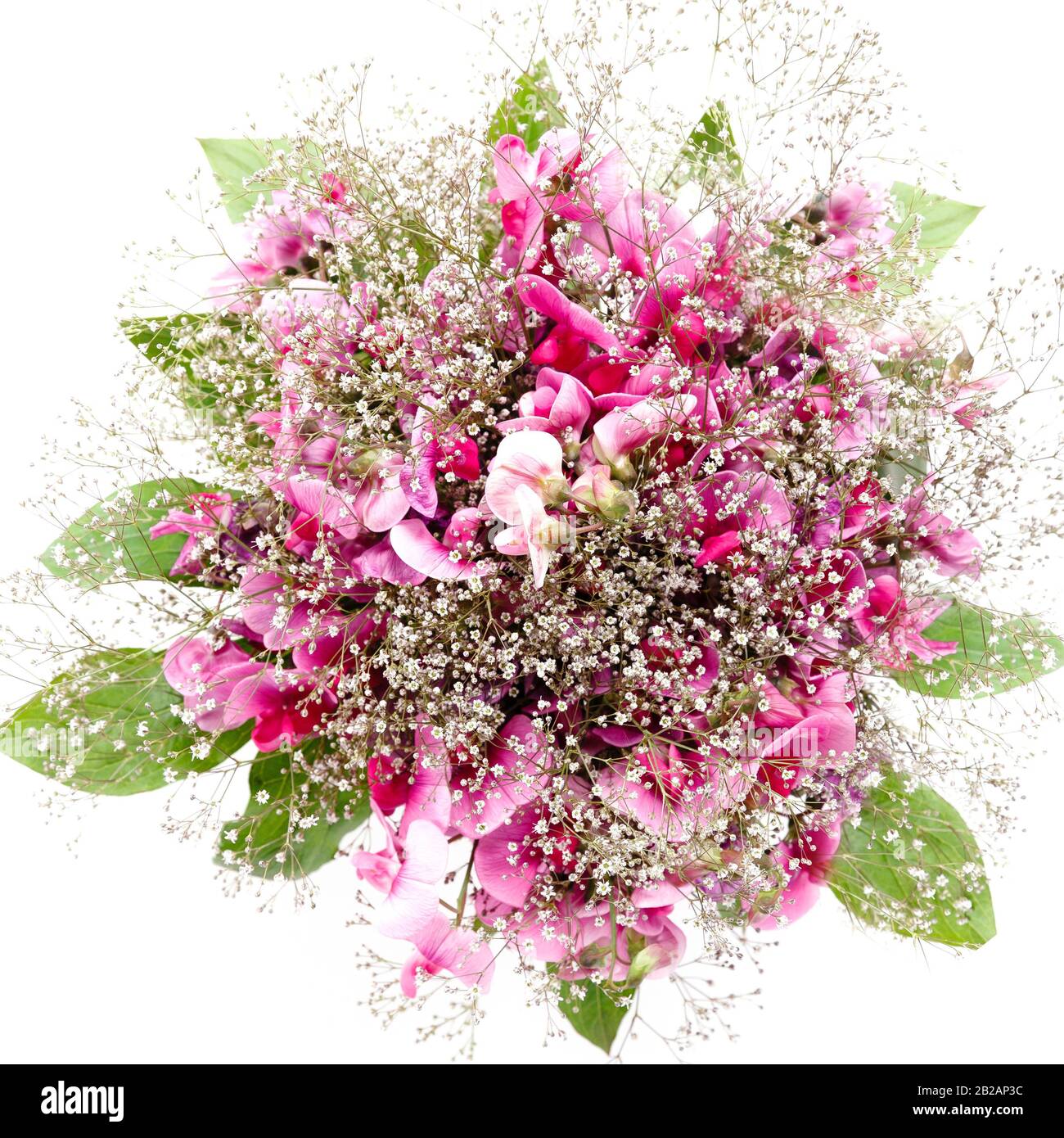 Spring airy bouquet of purple flowers sweet peas and gypsophila Stock Photo