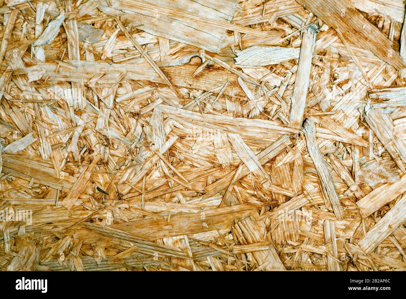 Pieces of wood glued and pressed together (Plywood Stock Photo Alamy