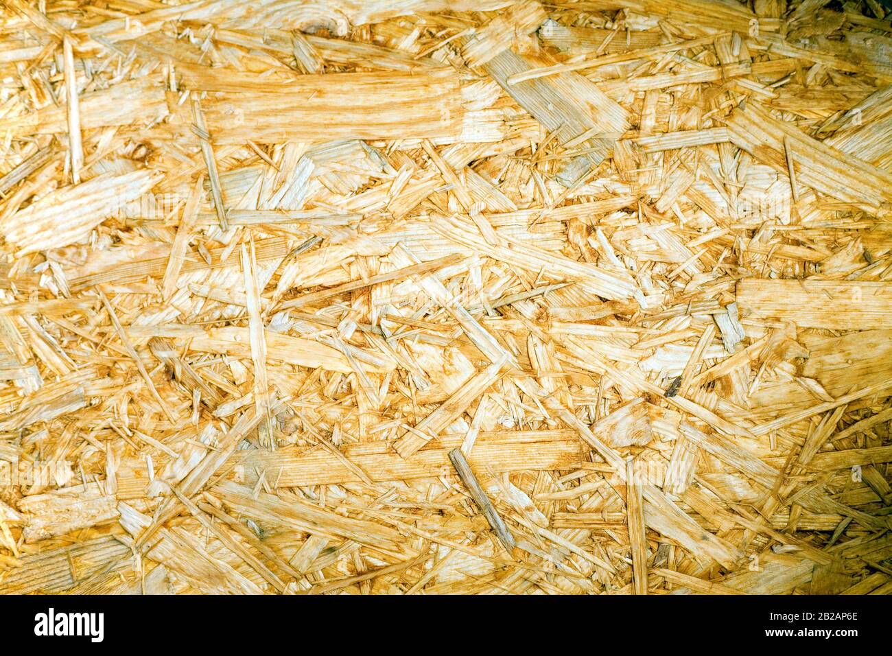 Pieces of wood glued and pressed together (Plywood Stock Photo Alamy