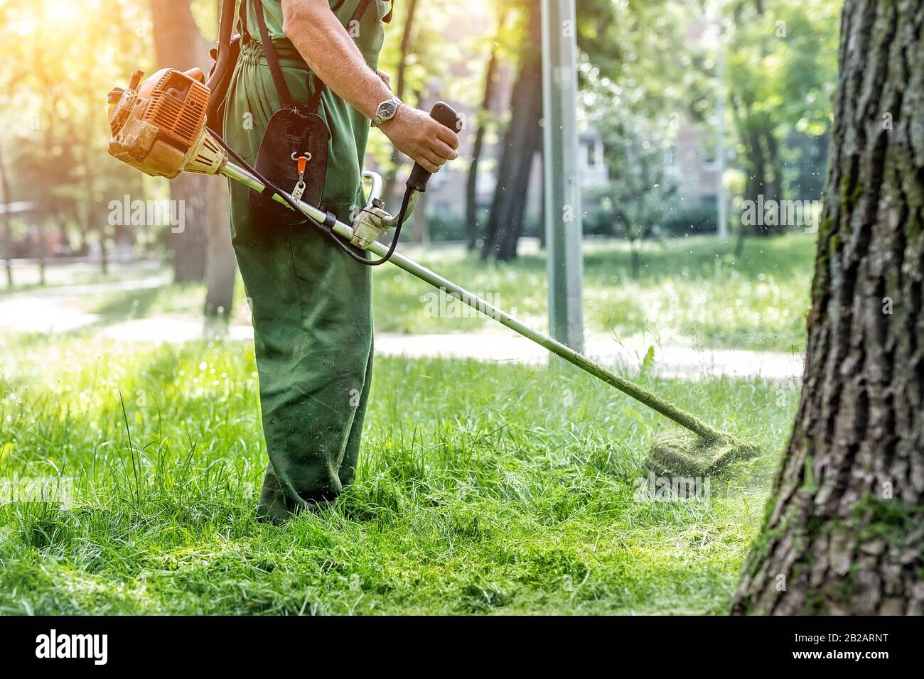 Mow lawn with string trimmer sale