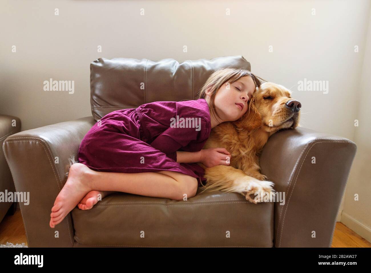 Girl curled up in an armchair with a golden retriever dog Stock Photo