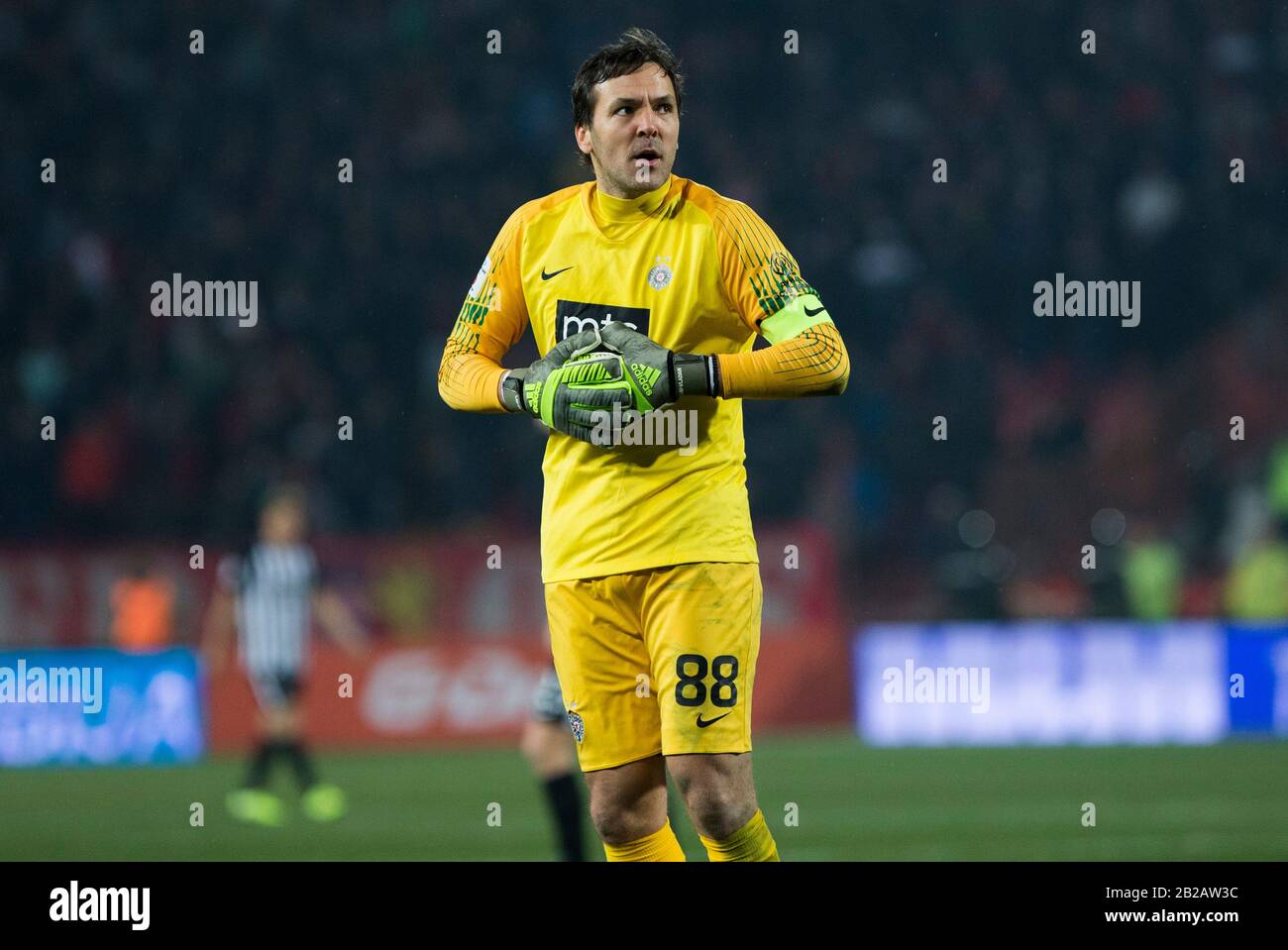 Belgrade, Serbia. 1st Mar, 2020. Goalkeeper Vladimir Stojkovic of Partizan reacts. Credit: Nikola Krstic/Alamy Live News Stock Photo