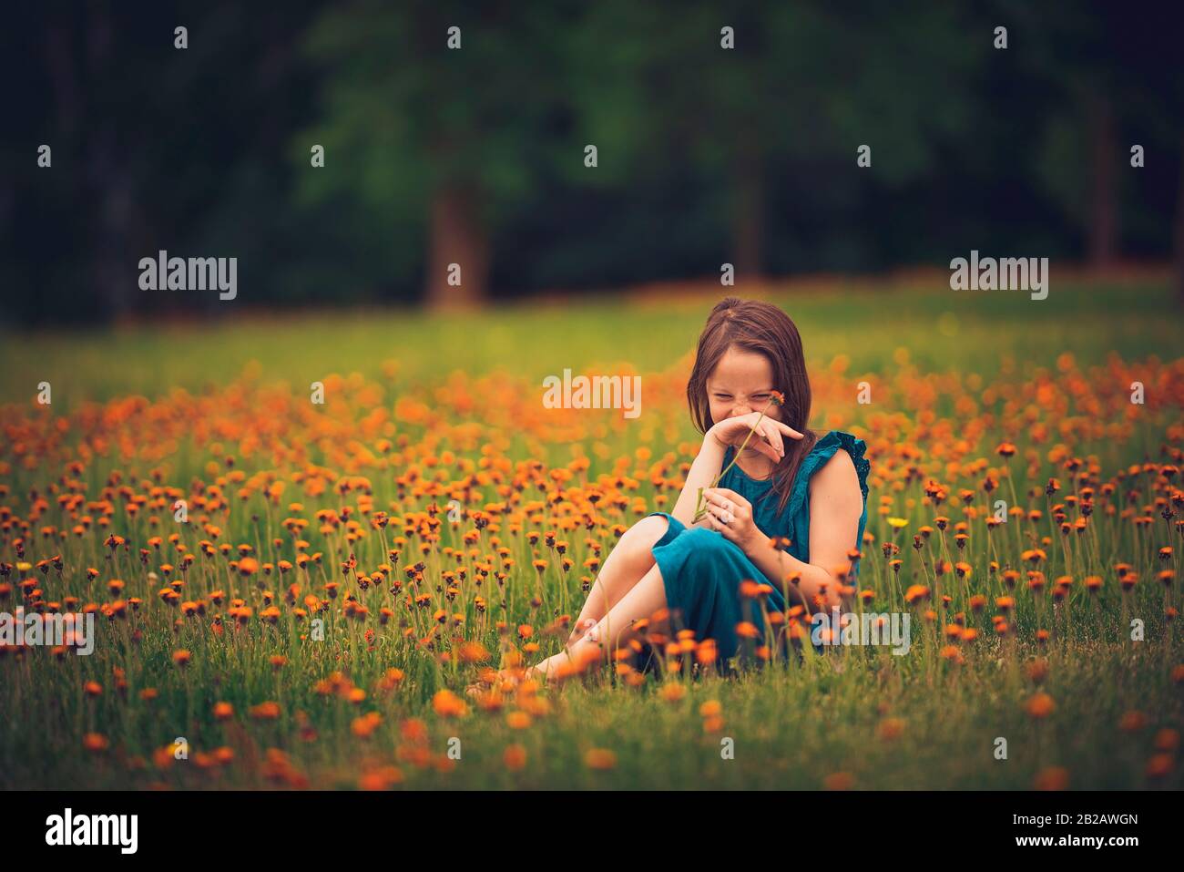 Happy girl sitting in a meadow with wildflowers laughing, USA Stock Photo