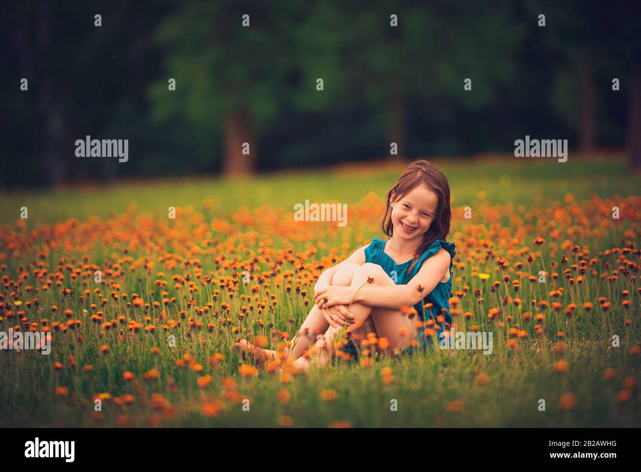 Happy girl sitting in a meadow with wildflowers laughing, USA Stock Photo