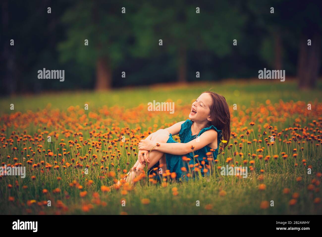 Happy girl sitting in a meadow with wildflowers laughing, USA Stock Photo