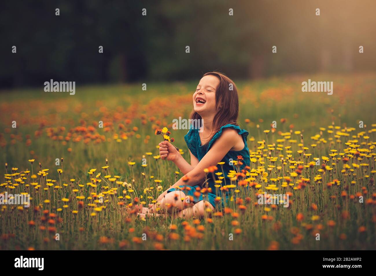 Happy girl sitting in a meadow picking wildflowers, USA Stock Photo