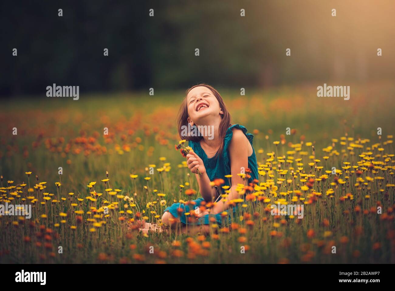 Happy girl sitting in a meadow picking wildflowers, USA Stock Photo