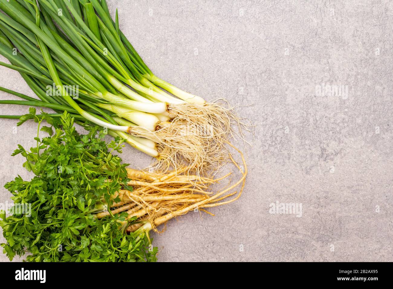 A bunch of fresh green onions and parsley. Healthy vegetarian (vegan ...