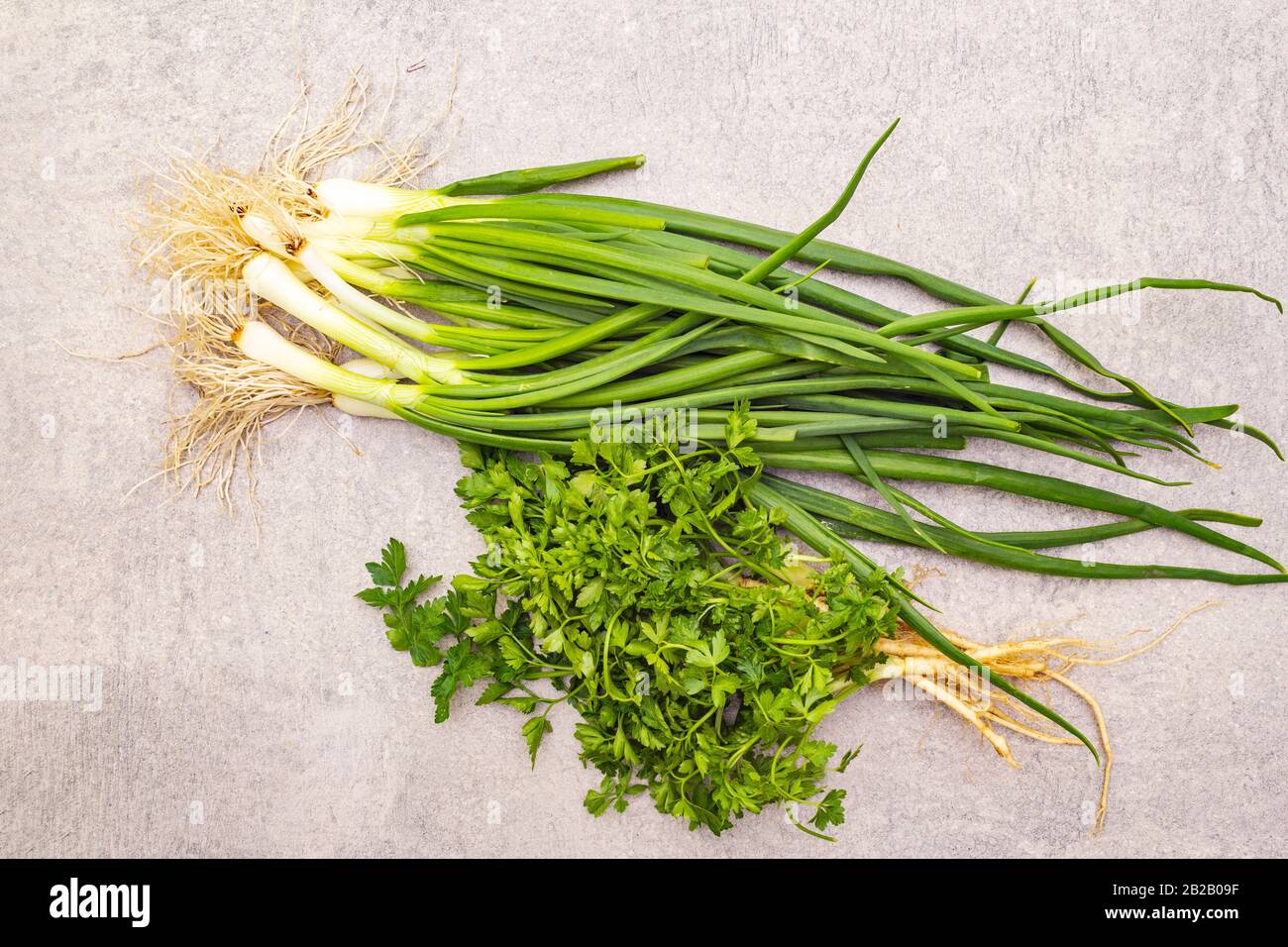 A bunch of fresh green onions and parsley. Healthy vegetarian (vegan ...