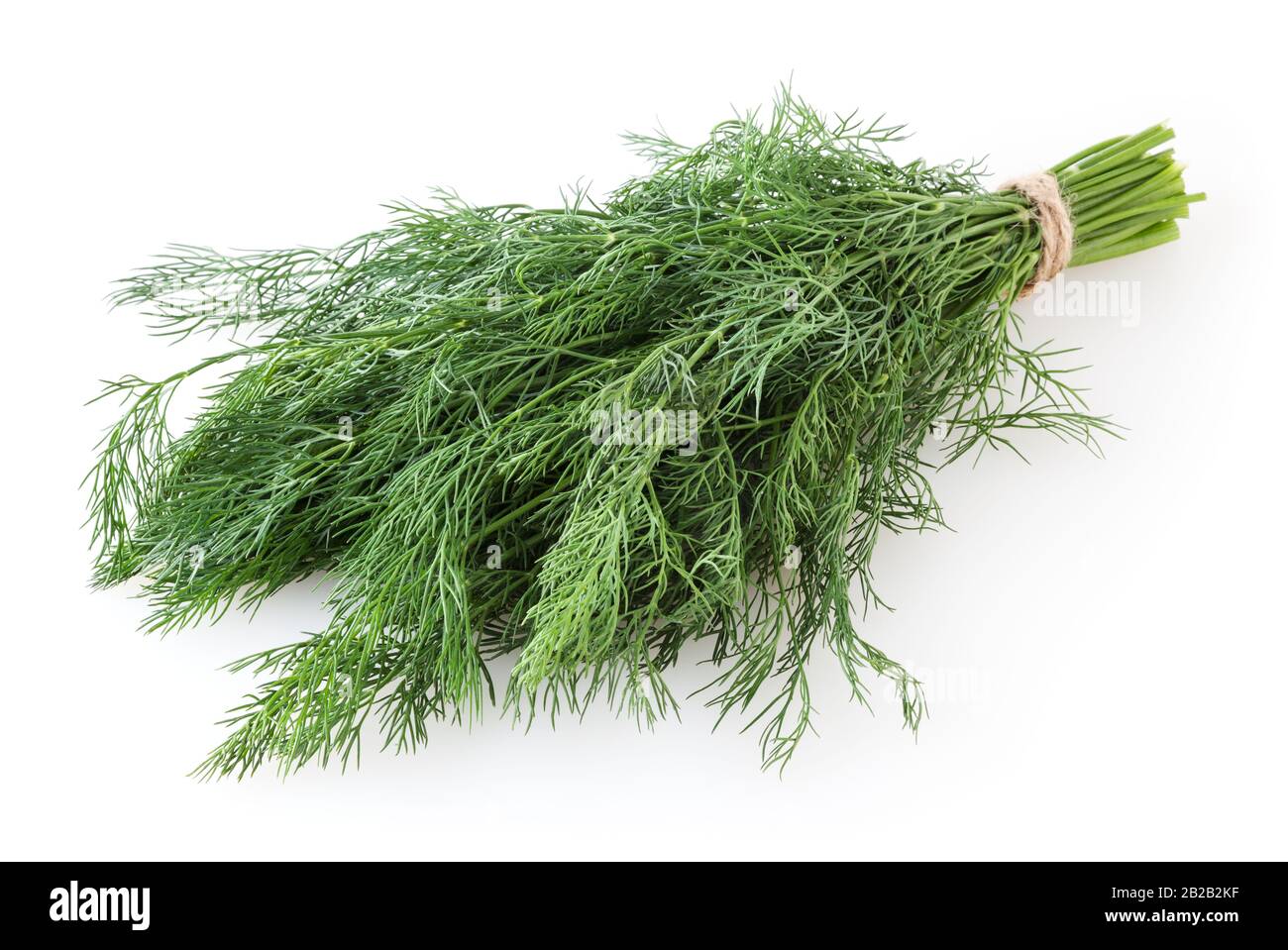 Bunch of fresh dill isolated on white background Stock Photo - Alamy